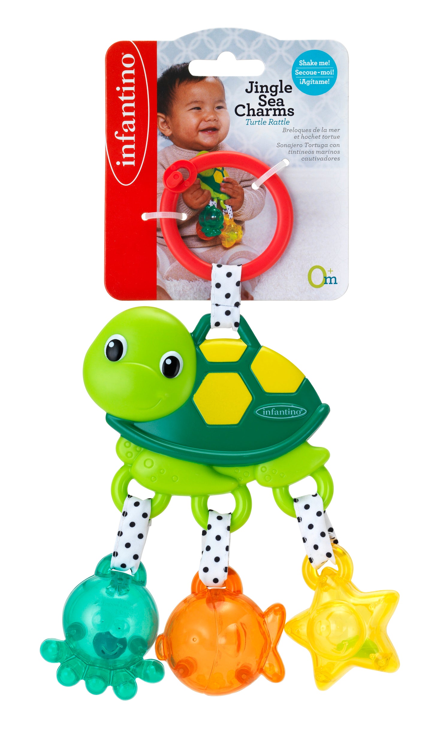 Infantino- Jingle Sea Charms Turtle- Green