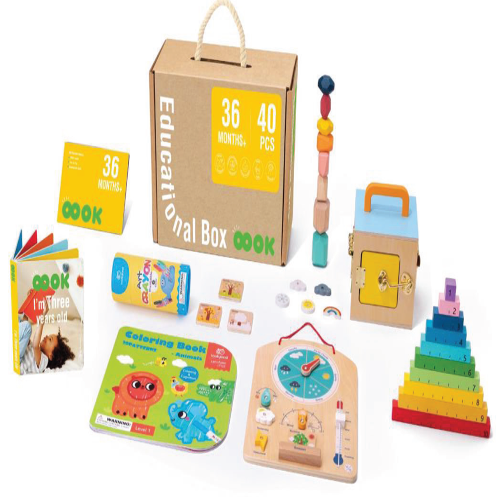 TOOKY TOYS-36m+ Educational Box