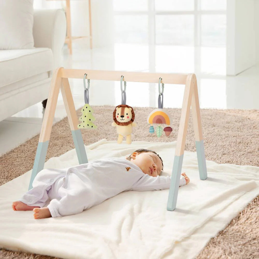 TOOKY TOYS-Baby Gym