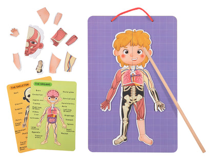 TOOKY TOYS-Body Magnetic Chart