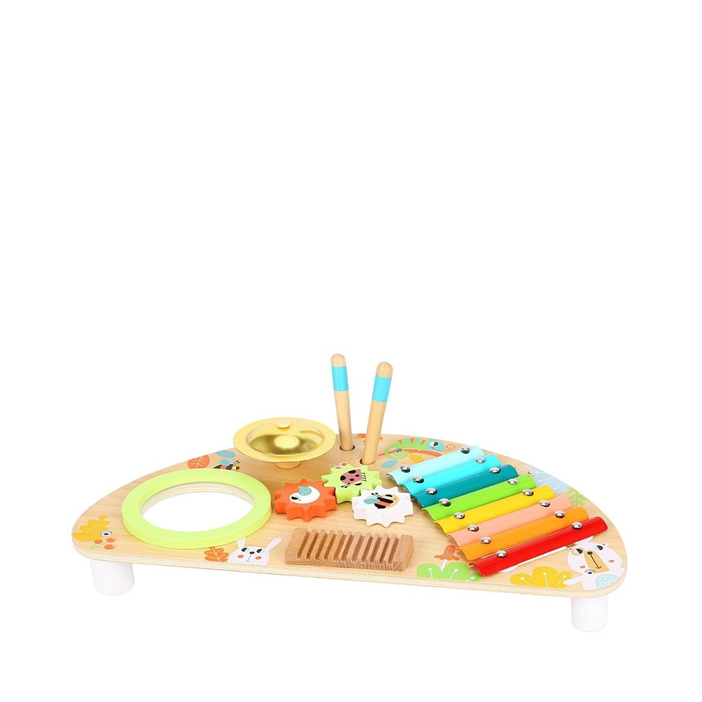 TOOKY TOYS-Multi-function Music Centre