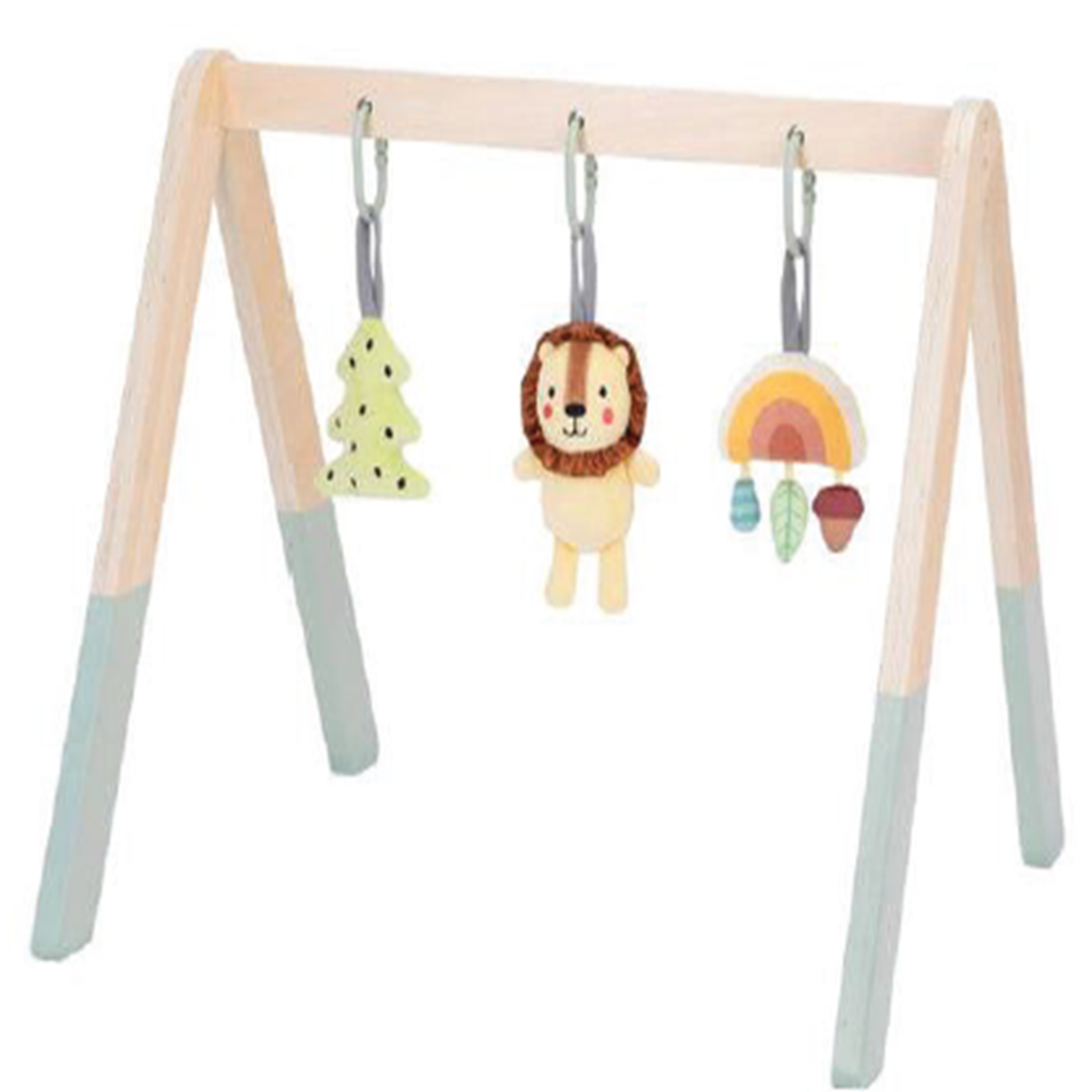 TOOKY TOYS-Baby Gym