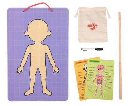 TOOKY TOYS-Body Magnetic Chart