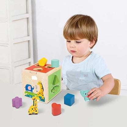 TOOKY TOYS-Animal Shape Sorter