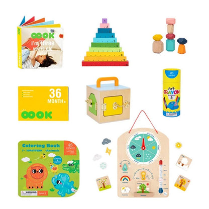 TOOKY TOYS-36m+ Educational Box